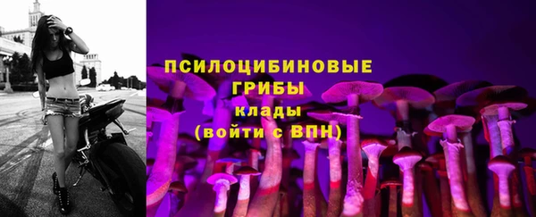 ГАЛЛЮЦИНОГЕННЫЕ ГРИБЫ Володарск