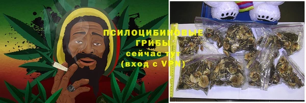ГАЛЛЮЦИНОГЕННЫЕ ГРИБЫ Володарск